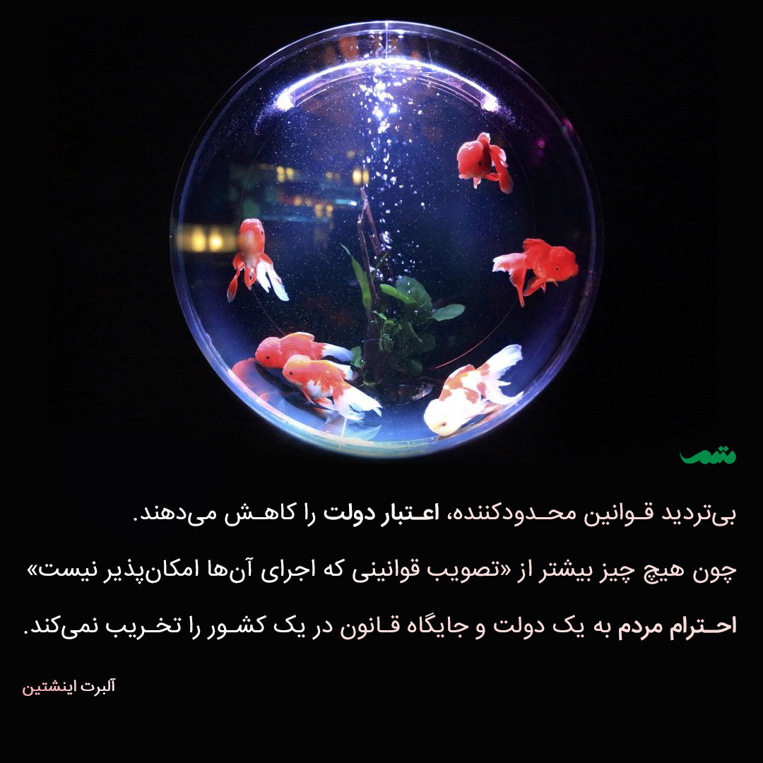 اینشتین قانون گذاری در آمریکا نقل قول